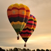 Activités de jour 