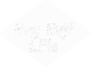 EVG EVJF Lille